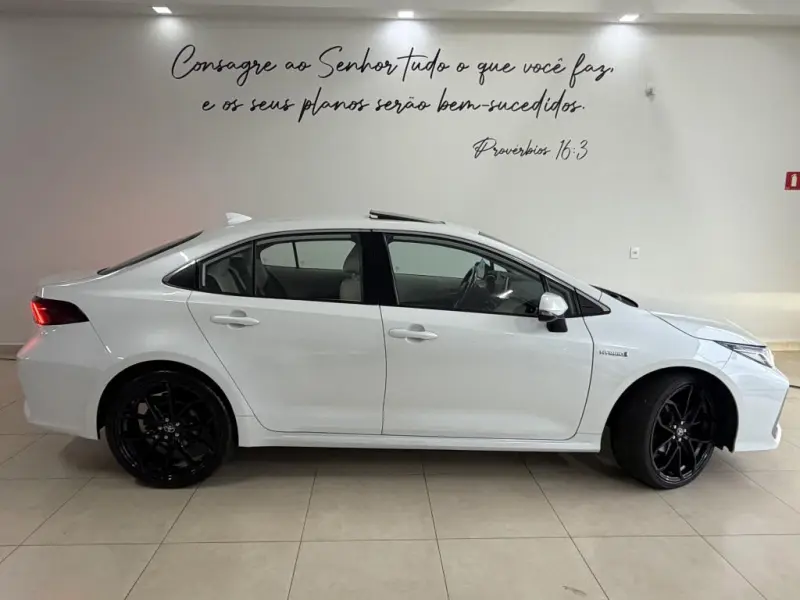 Corolla - Foto